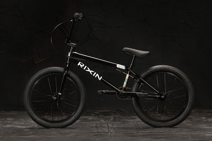 local complete bike 20"