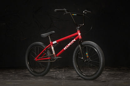 local complete bike 20"